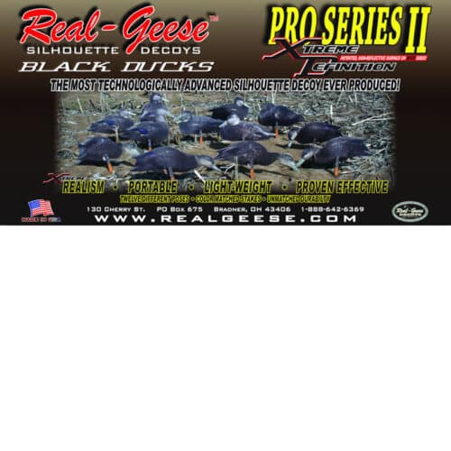 black duck decoys
