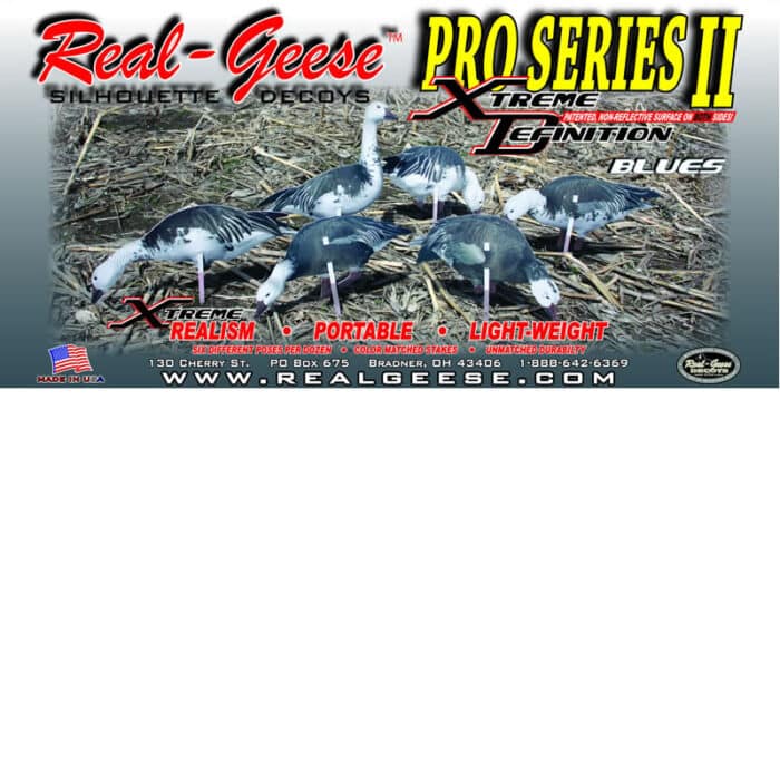 blue goose decoys