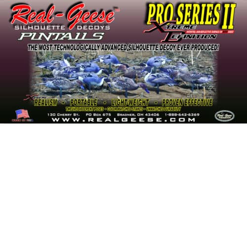 pintail decoys