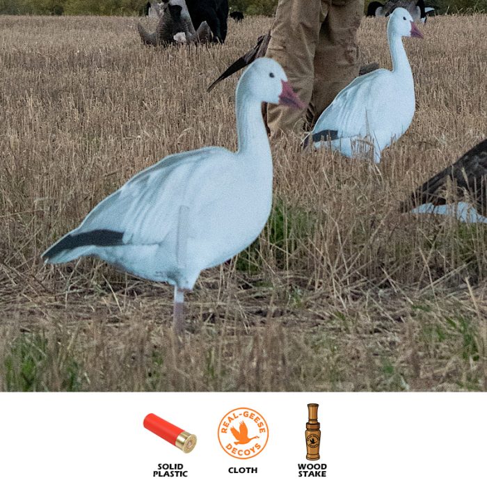 Pro Series II Snow Geese