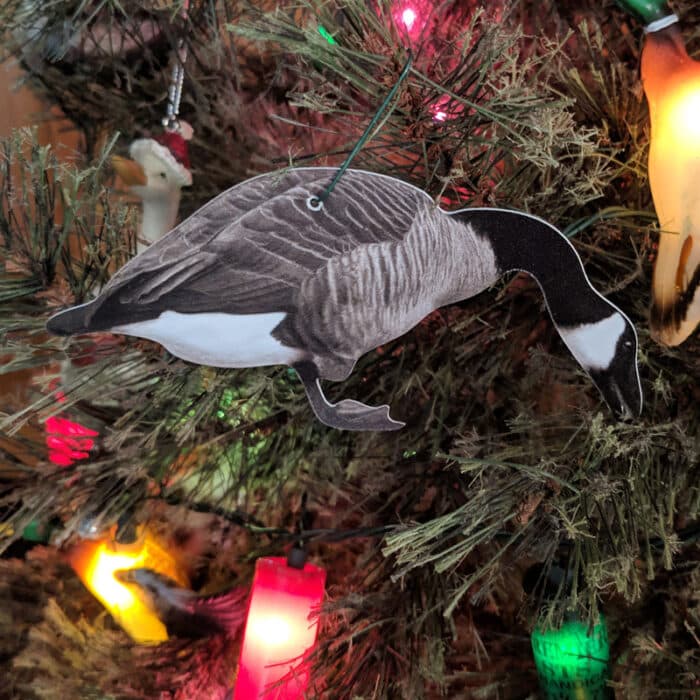 12 Real Geese Christmas Ornaments