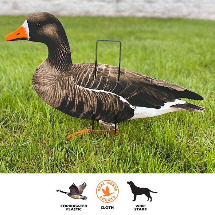 Econo Specklebelly Decoys