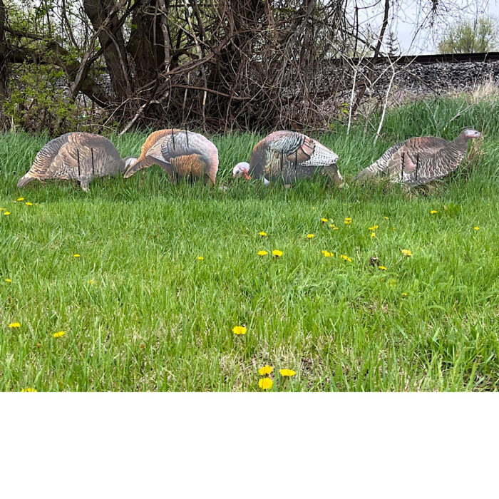 Econo Turkey Decoys - Image 2