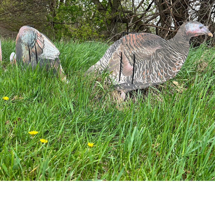 Econo Turkey Decoys - Image 3