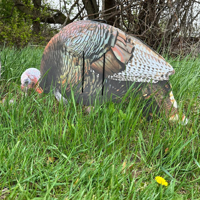 Econo Turkey Decoys