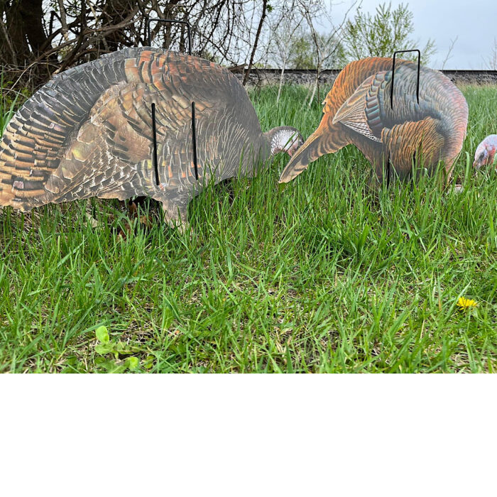 Econo Turkey Decoys - Image 4